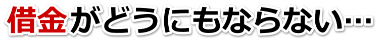 何も考えられない。借金が返せない。知立市で弁護士や司法書士に無料相談するしかない